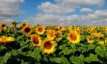 Horoscop: Cea mai importantă săptămână a anului