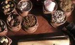 Plante care previn cancerul şi te menţin Zen