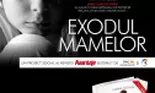 Drama unei mame expusă în Cartea 'Exodul mamelor'