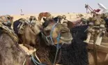 Charterele către Tunisia la modă