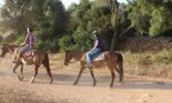 Călărie şi alte distracţii în Zarzis!