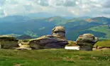 Aventuri în Buşteni!