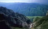5 locuri cu Fainoșag, la munte