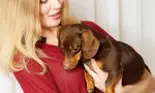 7 boli transmise de animalele de companie