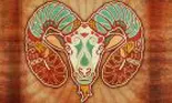 Compatibilitățile Berbecului cu celelalte zodii