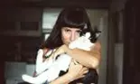 Pisica te poate îmbolnăvi de toxoplasmoză