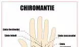 Chiromanţie – Linia căsătoriei îţi dezvăluie când te vei mărita