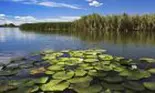 (P) Reduceri de până la 45% pentru vacanțele în Delta Dunării