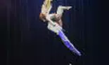 (P) Cirque du Soleil revine la București în București în 2017 cu Varekai