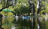 Descoperire șocantă în parcul IOR din București! S-a găsit o pungă cu cârnaţi, iar ce era în carne e de necrezut