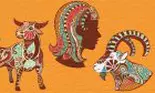 Influența elementului Pământ asupra zodiilor: Taur, Fecioară, Capricorn