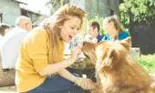Vorbești cu animalul tău de companie? Uite ce spune acest lucru despre tine