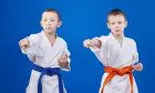 Sambo, sportul despre care foarte puține persoane au auzit