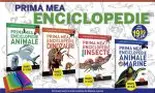 Sfaturi pentru părinți model: activități pentru vacanța de vară