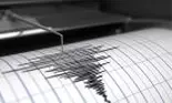 Cutremur de 3,6 grade, noaptea trecută în Buzău