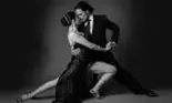 Șapte seri de tango la mall, alături de experții argentinieni
