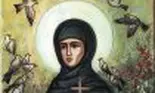 Pe 7 august o prăznuim pe Sfânta Teodora de la Sihla! Multe românce poartă numele ei