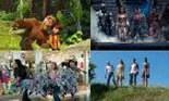 Premierele din cinema în noiembrie: animație, supereroi, horror, comedie
