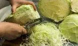 Cum pui cea mai bună varză murată la butoi. Rețetă delicioasă ca la mama acasă