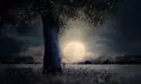 Cum sunt zodiile afectate de Luna Plină în Taur din 4 noiembrie