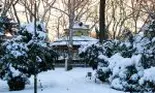 Când vine iarna în București? Directorul ANM a anunțat că va începe să ningă în scurt timp