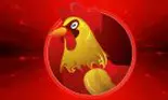 Horoscopul chinezesc 2018 pentru Cocoș: dragoste, bani, carieră, sănătate