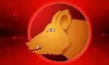 Horoscopul chinezesc 2018 pentru Porc: dragoste, bani, carieră, sănătate
