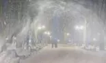 Cod galben de vânt în mai multe zone ale țării. Care sunt județele aflate sub avertizare meteorologică?