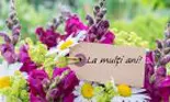 Mesaje de Florii 2018. Nu uita să le spui 'La mulți ani' celor care poartă nume de flori