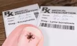 Ce este boala Lyme. Cauze, evoluție și tratament