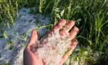 Avertizare meteo de ultimă oră! Cod galben de furtuni violente însoțite de descărcări electrice și grindină