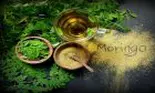 Ai auzit ce poate face moringa? Este planta care vindecă sute de boli