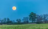 Cum sunt zodiile influențate de Luna Plină în Taur din 24 octombrie. Previziunile Uraniei