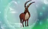 Horoscoul lunar decembrie 2018 pentru Capricorn. Previziunile astrale despre carieră și bani, dragoste și relații, sănătate