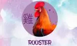 Horoscopul chinezesc 2019. Anul Porcului de Pământ pentru Zodia Cocoșului