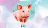 Horoscopul chinezesc 2019. Anul Porcului de Pământ pentru Zodia Porcului
