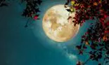 Luna Plină din 17 iunie 2019 ne pune față în față cu succesul sau eșecul alegerilor noastre. Urania ne spune cum sunt zodiile influențate de acest aspect al Lunii