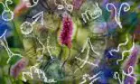 Horoscop 6 iulie. O zodie este răscolită de o întâmplare din trecut