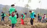 600 de voluntari au plantat peste 12.000 de copaci în doar câteva ore!