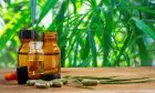 Ce tratament naturist poți folosi dacă suferi de colon iritabil. Recomandările homeopatului