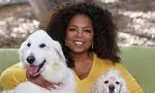 Supranumită ÎNȚELEAPTA AMERICII, Oprah Winfrey spune care sunt cele mai importante lecții de viață