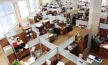 Locuri de muncă disponibile în timpul crizei de coronavirus: unde se fac angajări