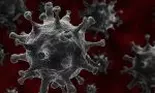 Coronavirusul, o armă biologică scăpată de sub control? Toate indiciile spun că DA!