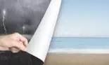 Veștile BUNE ale zilei