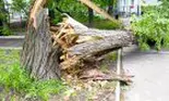 Vijeliile au făcut ravagii. Se pregătește o nouă tornadă ca la FĂCĂENI?