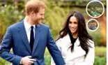 Casa în care s-au mutat Meghan Markle și Prințul Harry este SUPERBĂ! Primele imagini