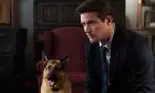 (P) Toamna aceasta urmărește un nou sezon cu „Hudson și Rex”, din 1 septembrie la DIVA