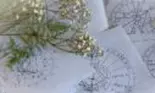 Horoscop 17 februarie, ziua veștilor importante