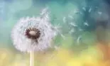 Horoscop 18 februarie, mari gelozii pentru o zodie, astăzi