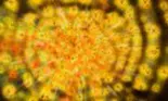 Horoscop 25 februarie, certuri din motive incredibile